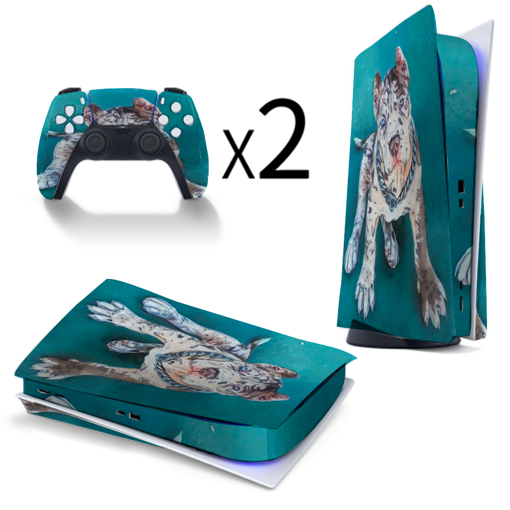 Custom  Sticker for PS5 Controller PS5 Console Sticker  Digital Version and Disc Version